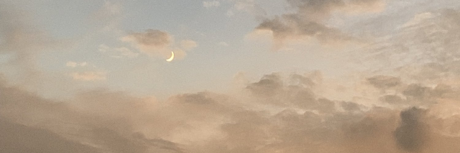 ねんこ banner