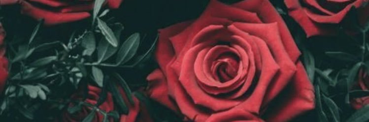 PorterReports's profile banner image