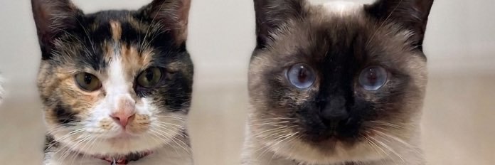 leviakkaman22's profile banner image