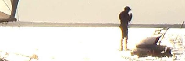 ObiterStrictum's profile banner image