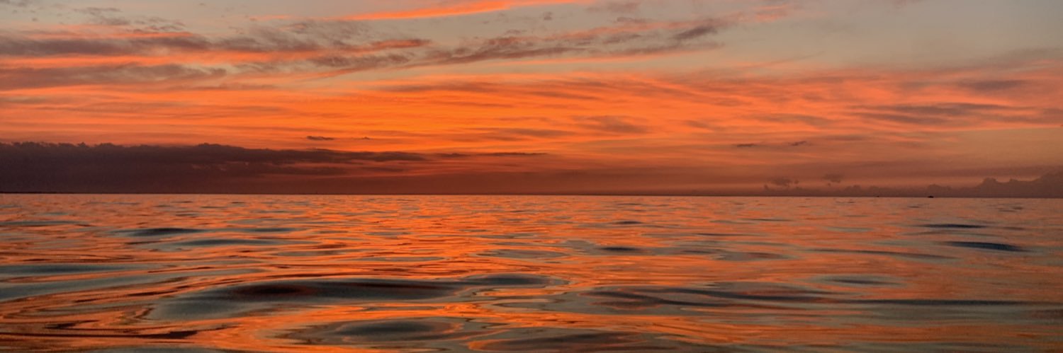 Qshepherd_'s profile banner image