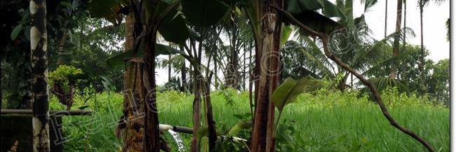 jerald_d's profile banner image