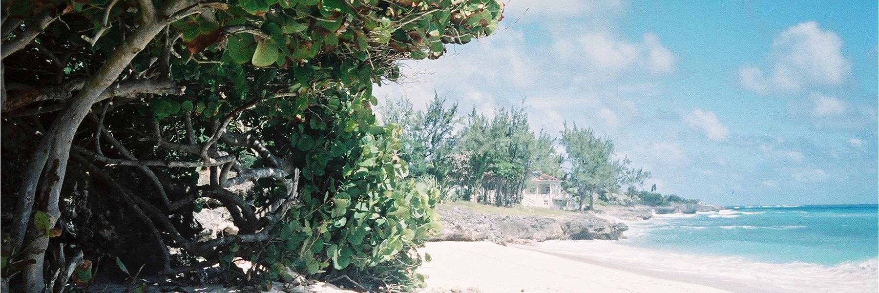 AMGrills's profile banner image