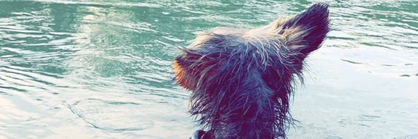 JakePalmer25 Profile Banner
