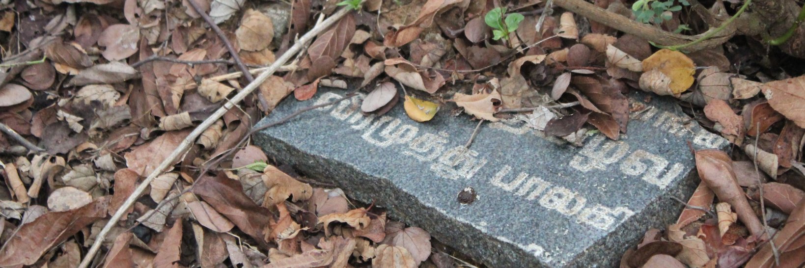 Mario Arulthas banner