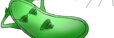 votemeangreen's profile banner image