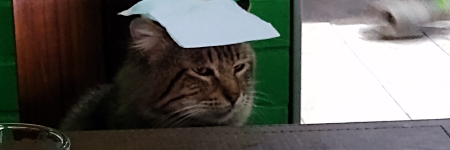 eonomaus's profile banner image