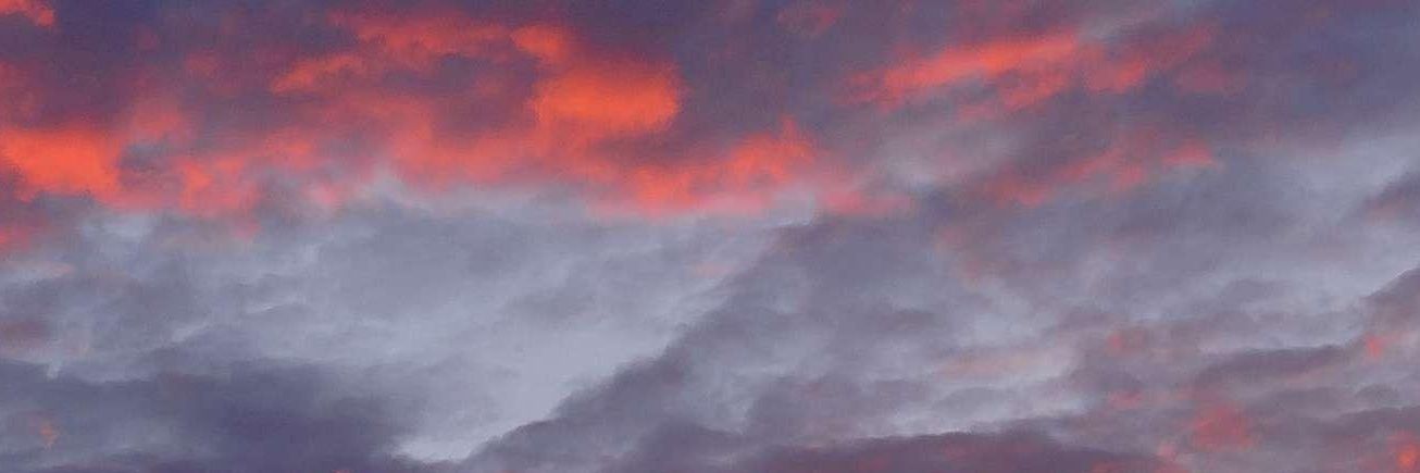 MarioS_172's profile banner image