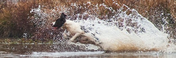 john_alstad Profile Banner