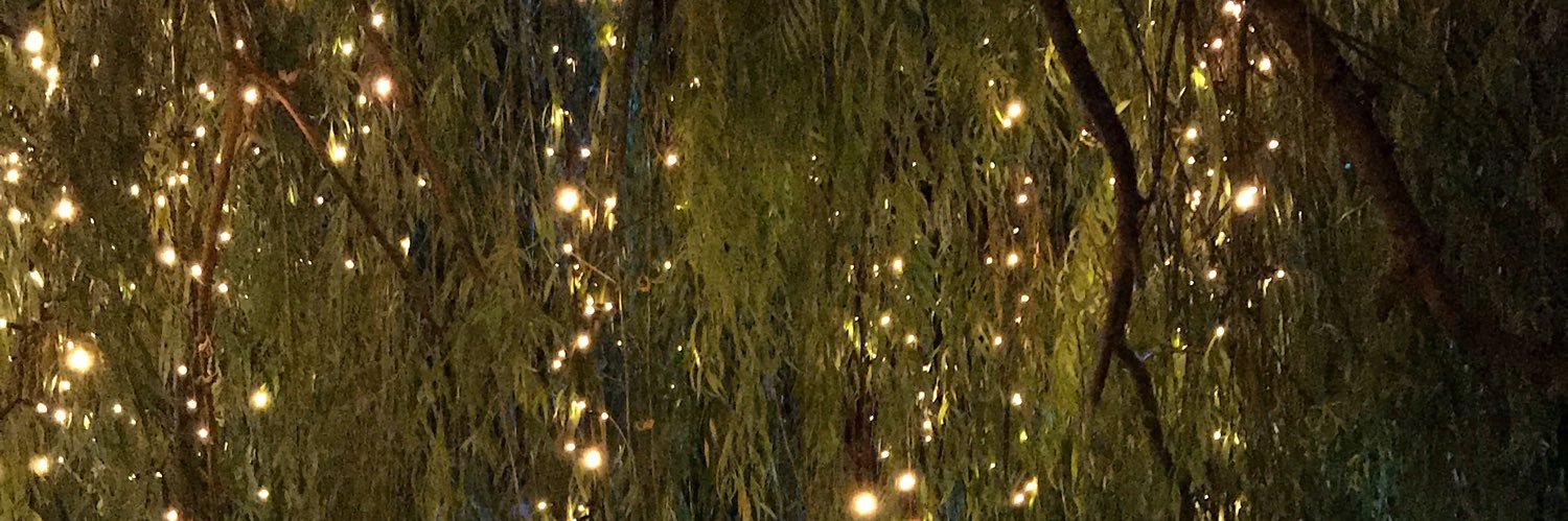 avzehratatli's profile banner image