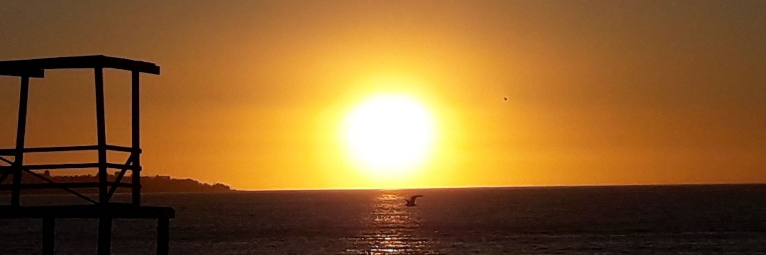 Catalinyta's profile banner image