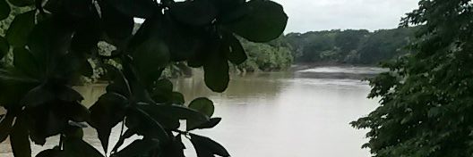 HaydeeLidercom1's profile banner image