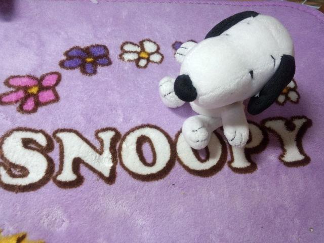 snoopy12317's profile banner image