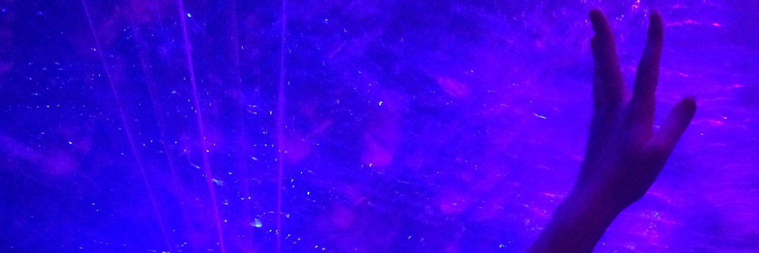 mishinaaaa's profile banner image