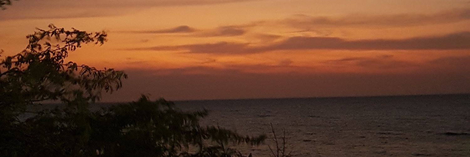 CYMOAL's profile banner image