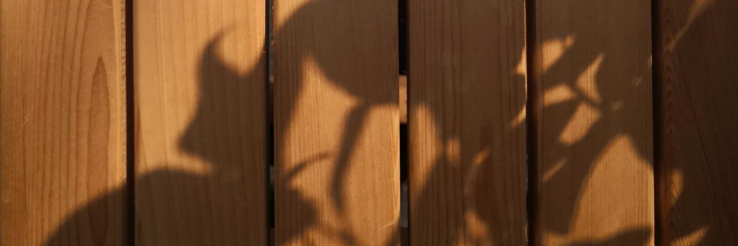magicshanta's profile banner image