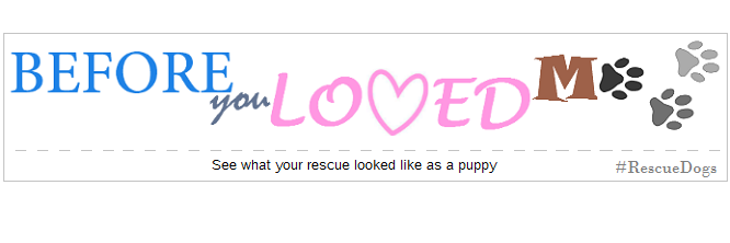 BeforeYouLoved's profile banner image