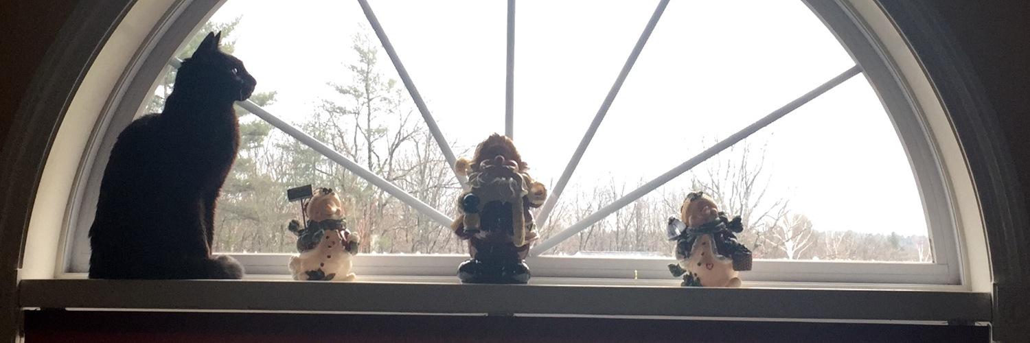 Keva_Lionface's profile banner image