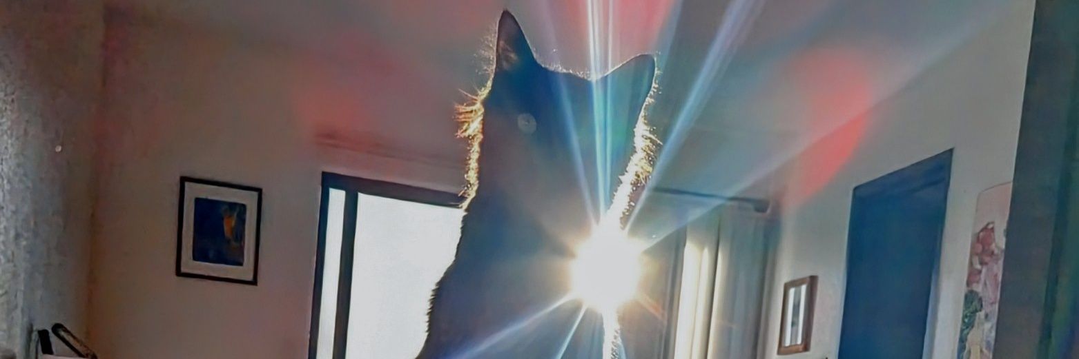 starcatwest's profile banner image