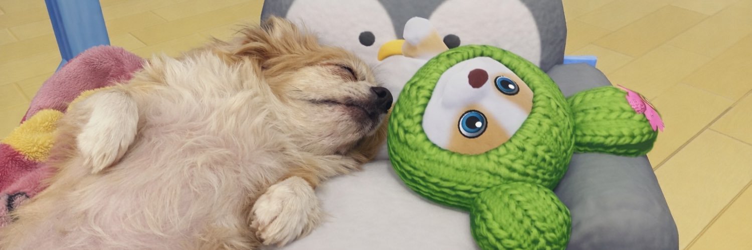 chubamz's profile banner image