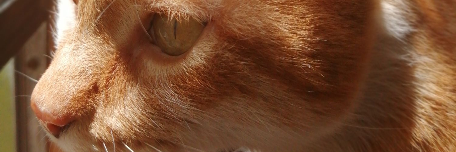 Uziixdd's profile banner image