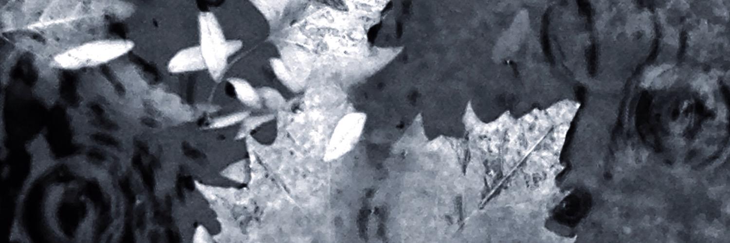 Little_Debo_'s profile banner image