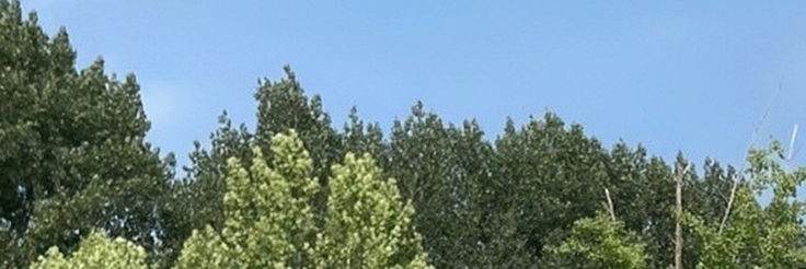 kalulaa ♡ banner