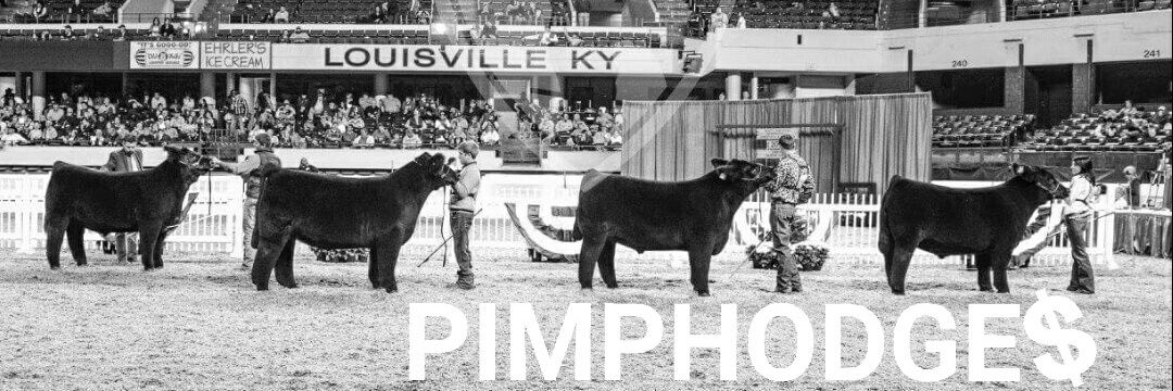 PIMPHODG3S's profile banner image
