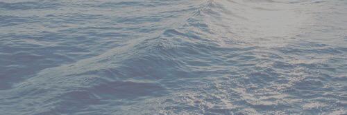kate banner