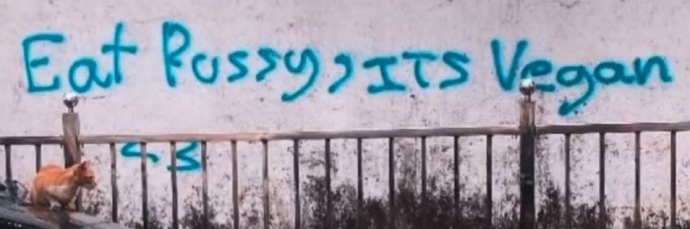 Pepe Silvia banner