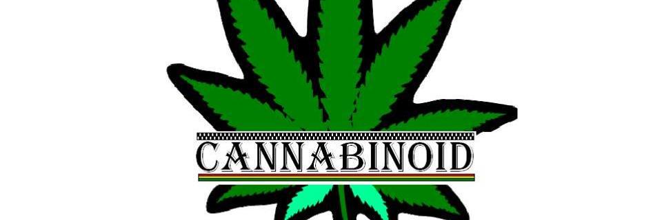 CannabinoidBAND's profile banner image