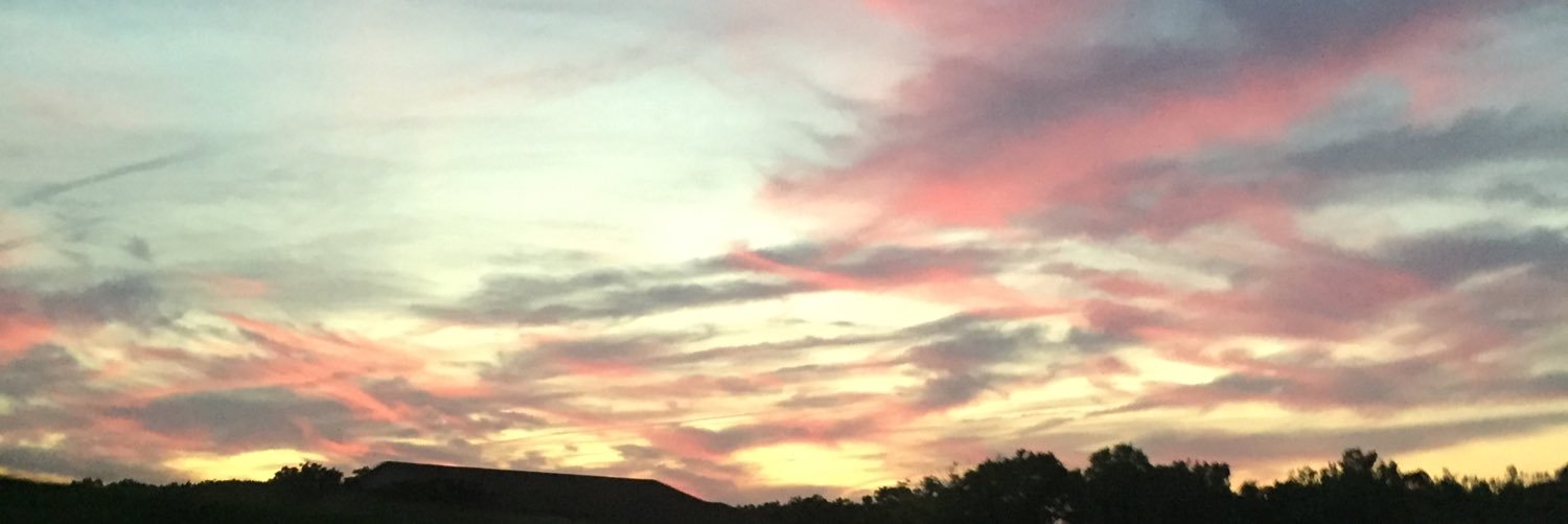 laurenbakeerr's profile banner image