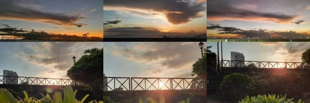 Ms_Opacarophile's profile banner image