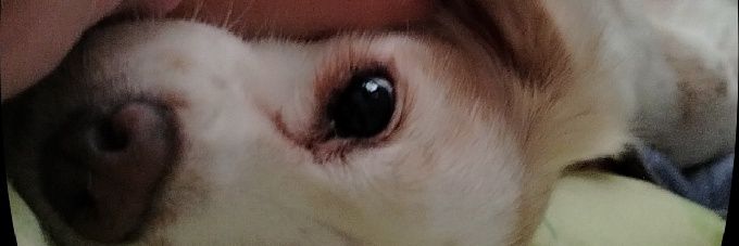 urmeneta_0's profile banner image