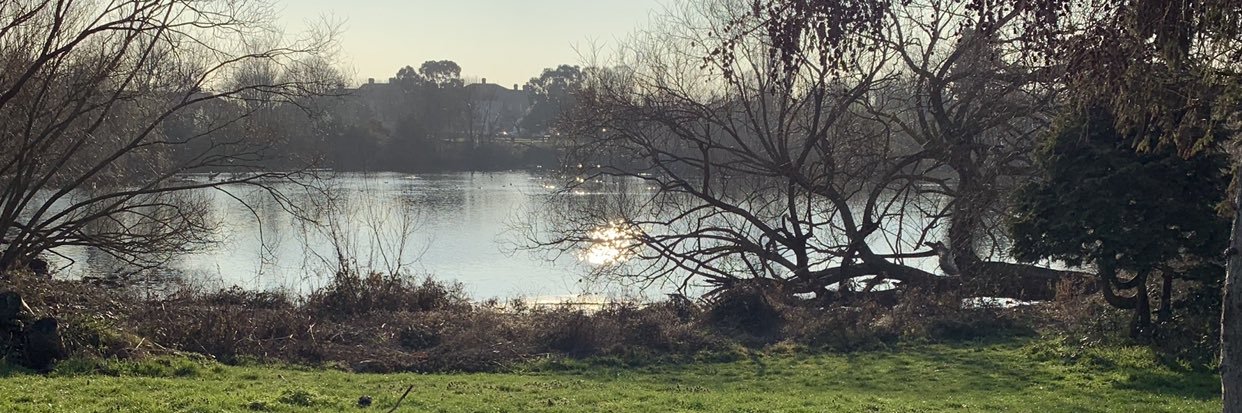 cameron_pacey's profile banner image