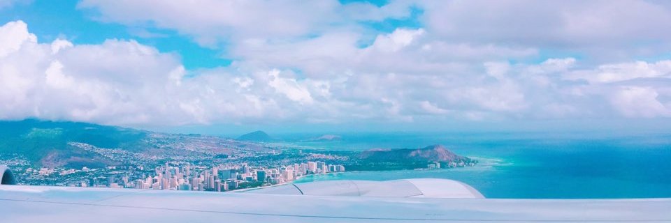 ส้มส้มของเจี๊ยบ🍊🐤. banner