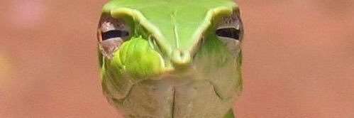 hmm banner
