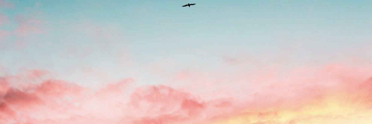 ReemAlRubaian's profile banner image