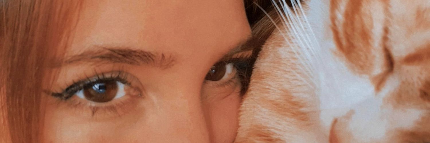HenriquezMeel's profile banner image