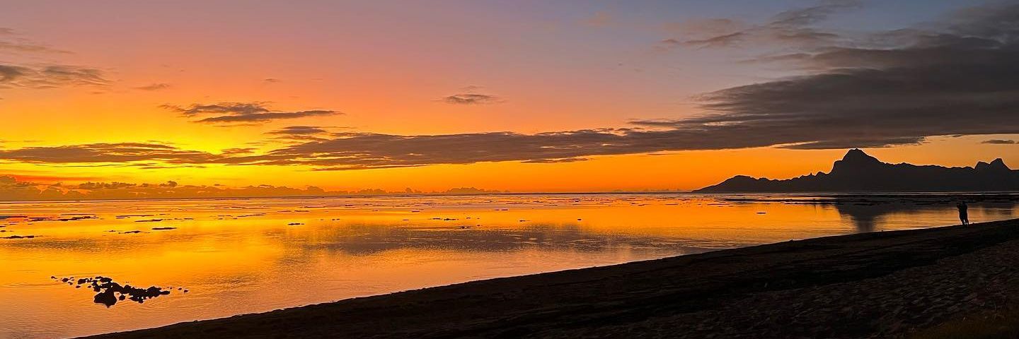 424_harris's profile banner image