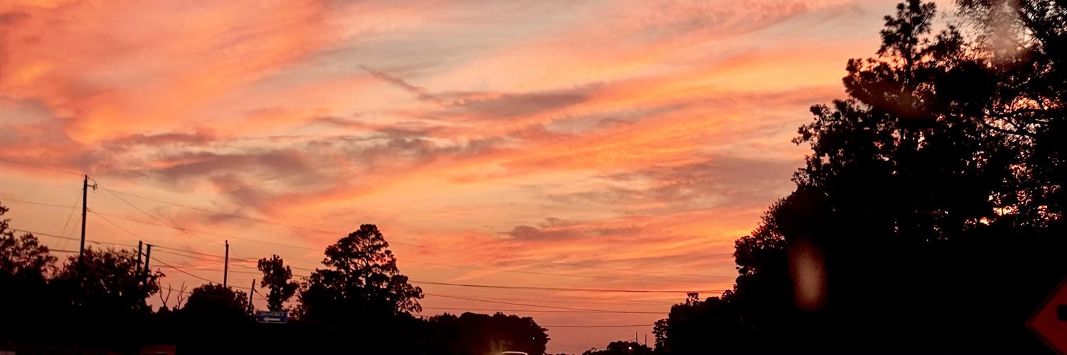 AngeliaJGriffin's profile banner image