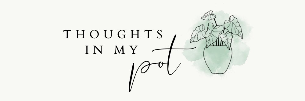 pottipotty's profile banner image