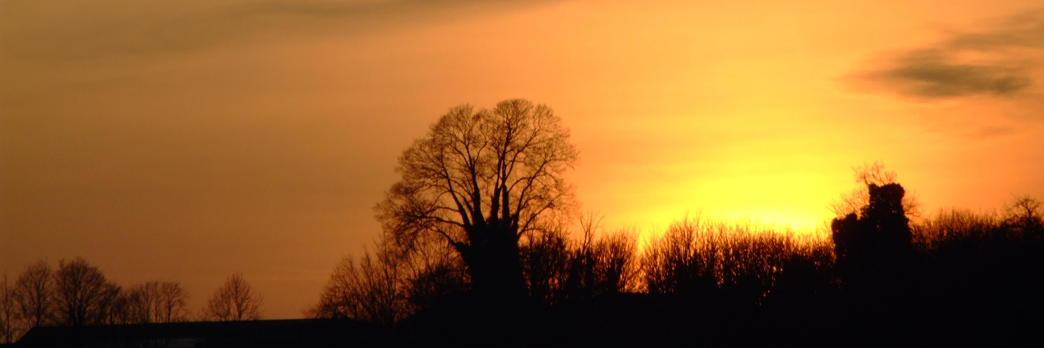 Chepstow Weather banner