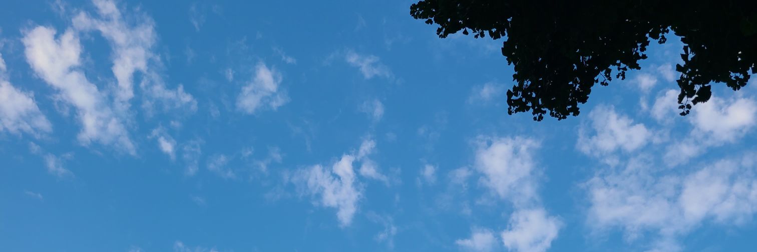 NFTTowDriver's profile banner image