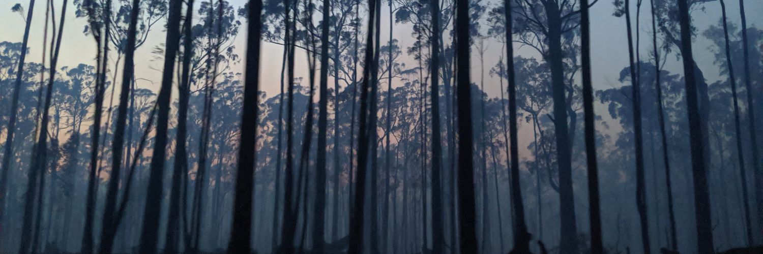 MattBrophy's profile banner image