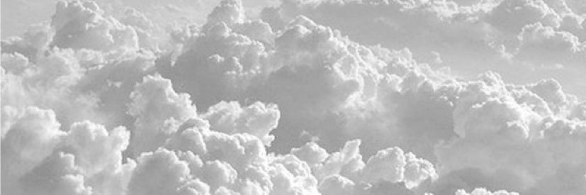 Shadenaziz's profile banner image