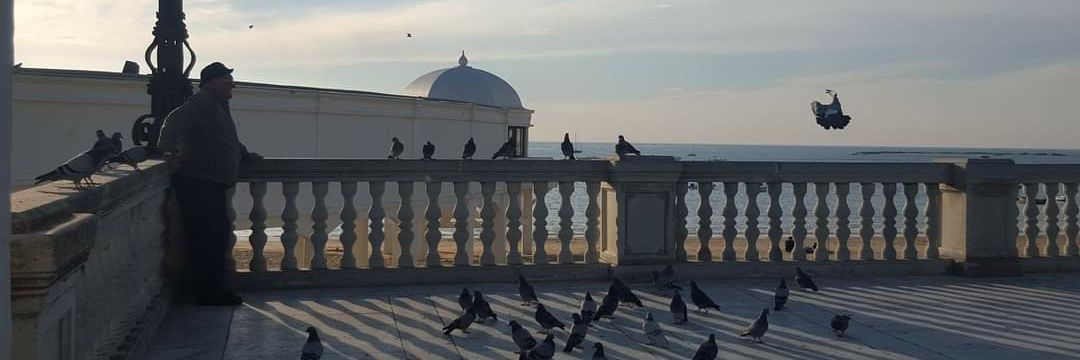 Estrella Serna banner