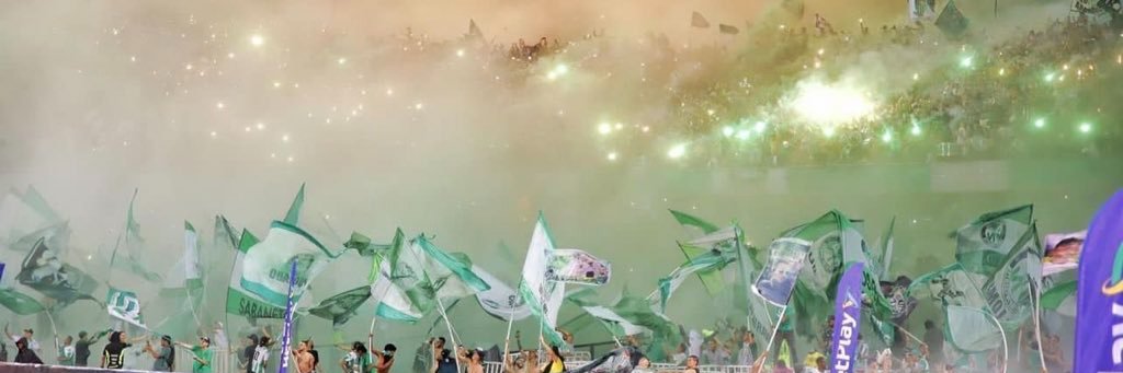 checho11 banner
