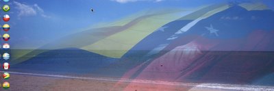 JAVIER RADA PEÑA banner