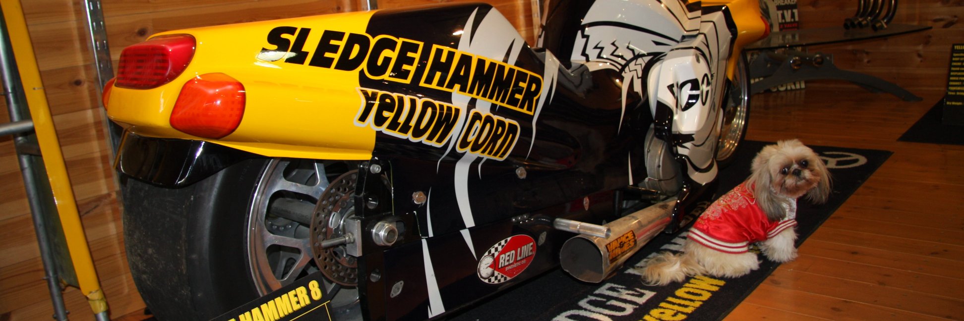 ベル＆ナッシーパパ banner